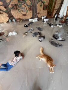 4f725e45-fd54-48f5-bacb-ef36240b8e46